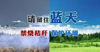 呵护山水林田湖草生命共同体——张掖整体推进祁连山生态修复与环境保护监测